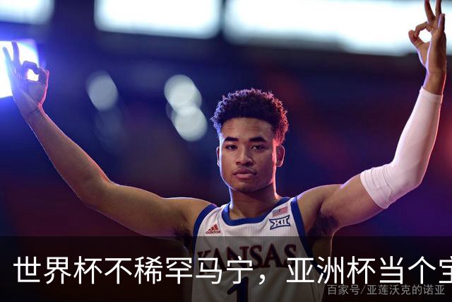 世界杯不稀罕马宁，亚洲杯当个宝！球迷：他吹决赛阿根廷不敢造次