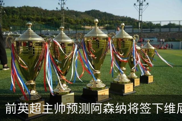 前英超主帅预测阿森纳将签下维尼修斯：“这笔交易已成定局”