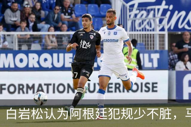 白岩松认为阿根廷犯规少不脏，马宁：我们更多是看犯规性质